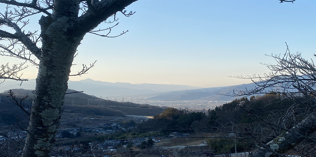 御坂路さくら公園の展望台から見える夜景